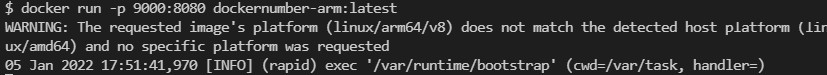 docker run