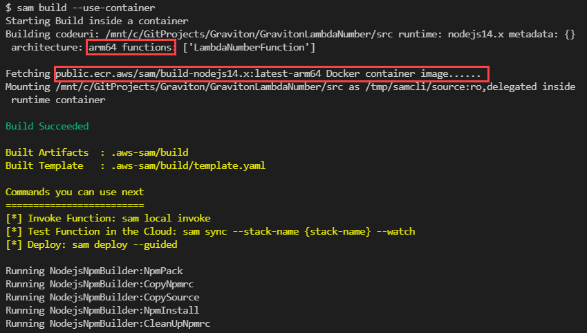 sam build --use-container